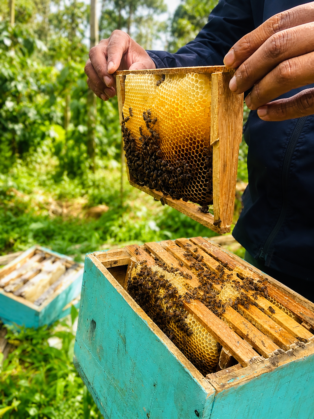 Bee Keeping