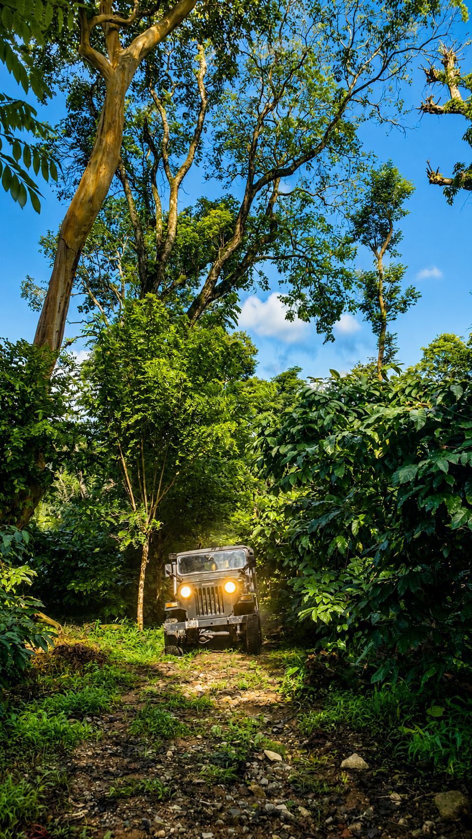 Jeep Adventure