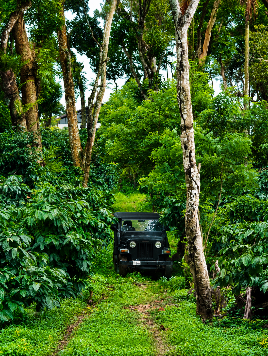 Jeep Adventure