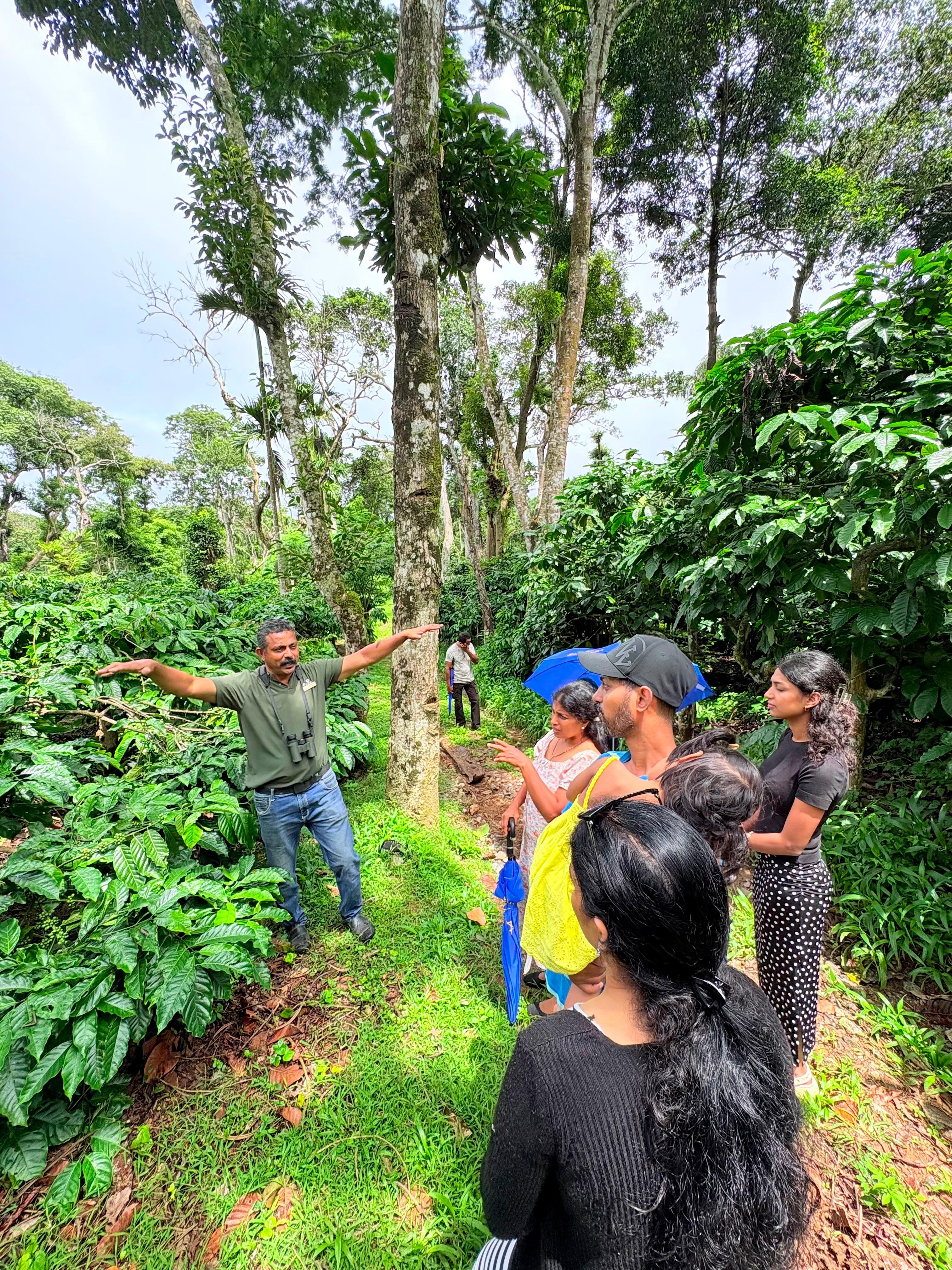Plantation Walk