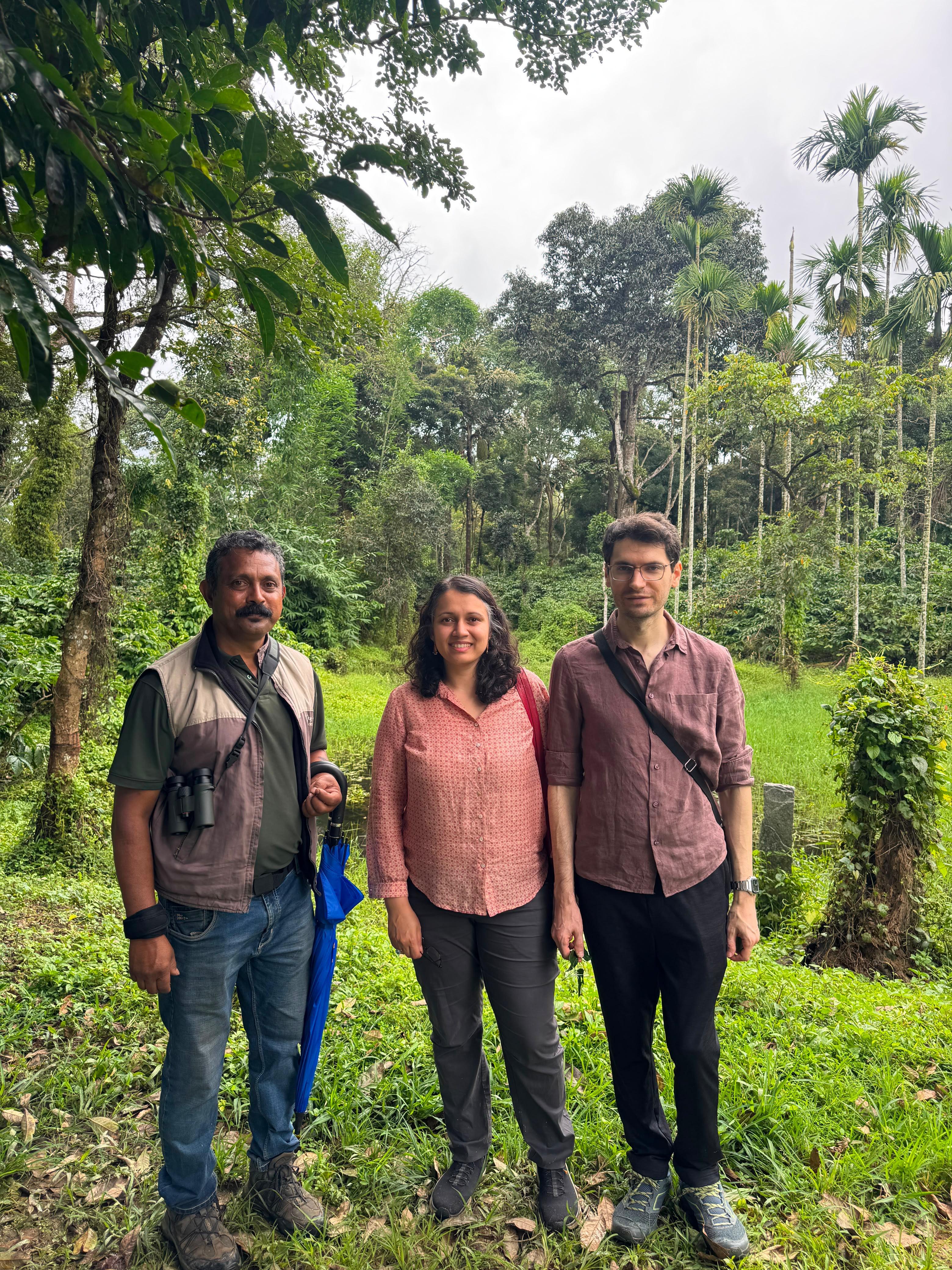 Plantation Walk