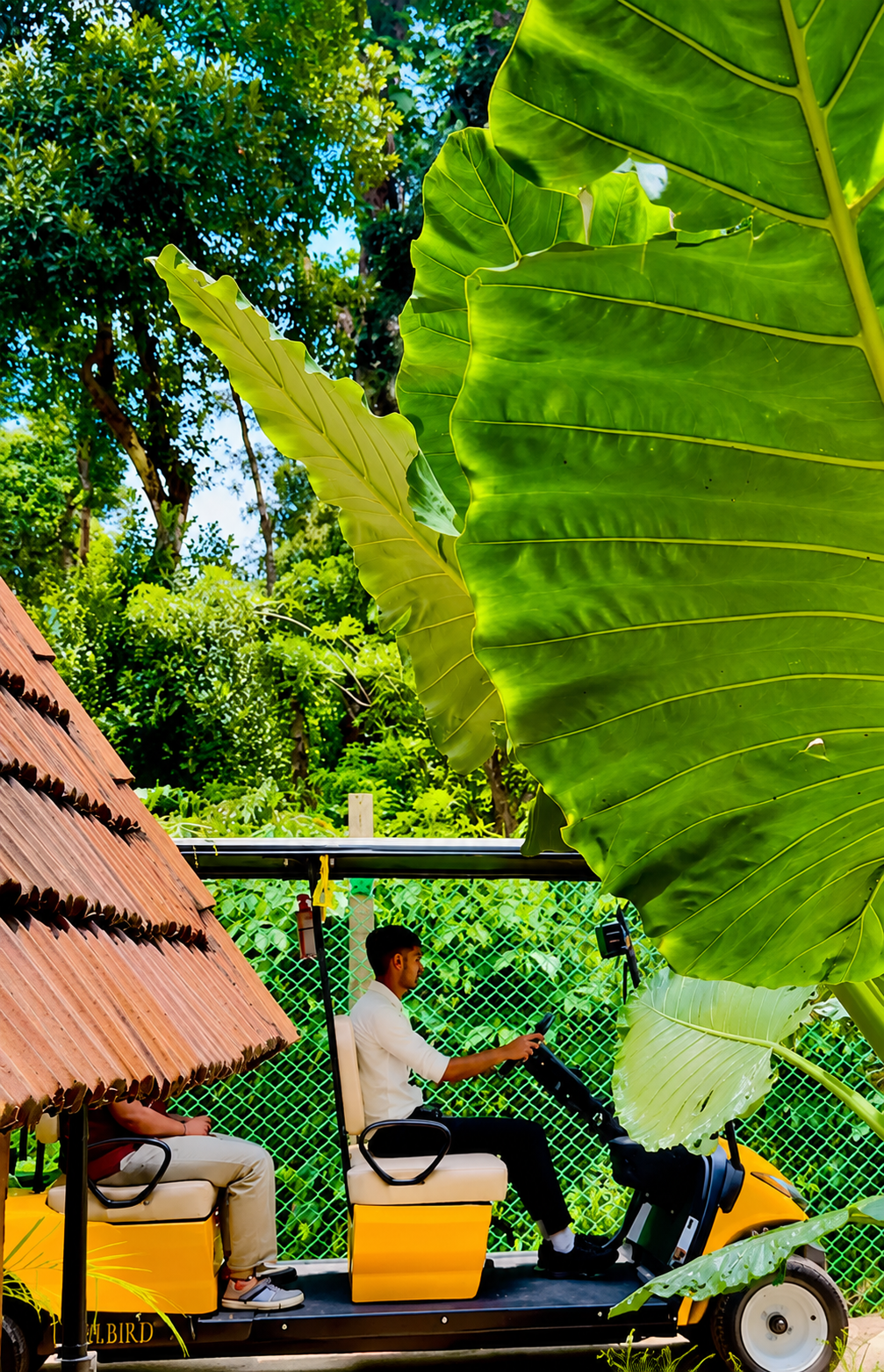 Property Tour at D-Zion Resort Coorg